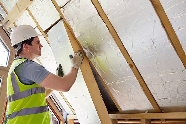 Best Professional Insulation Contractor  in Rogers, TX