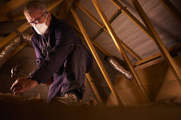 Best Insulation Inspection Services  in Rogers, TX